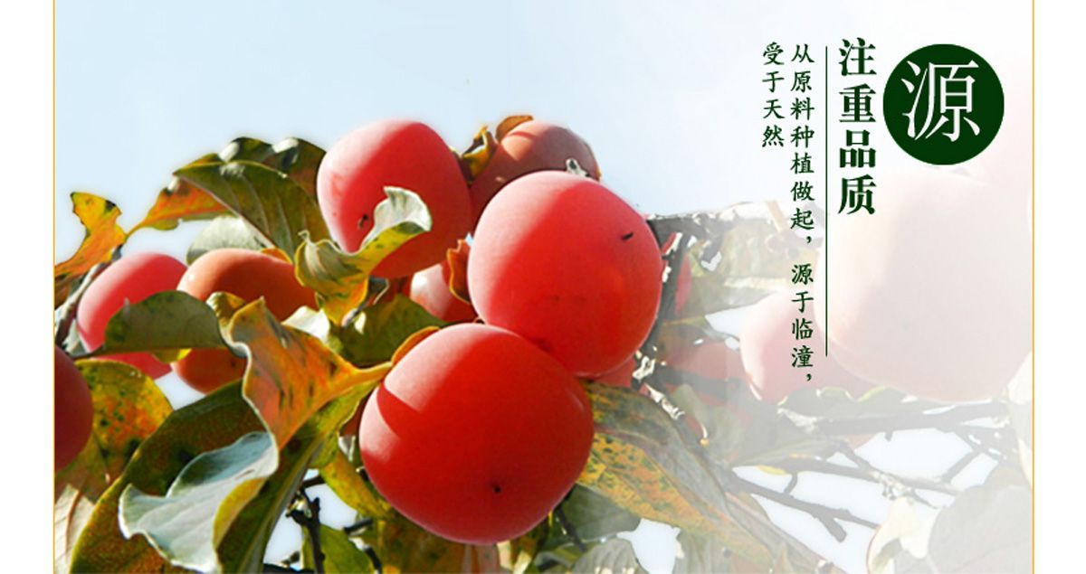 康吉美柿子餅